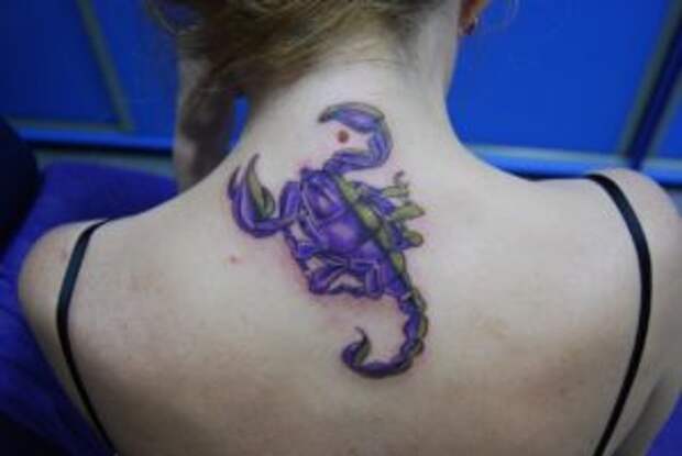 Тату скорпион для девушек - значение Тату скорпион для девушек - значение