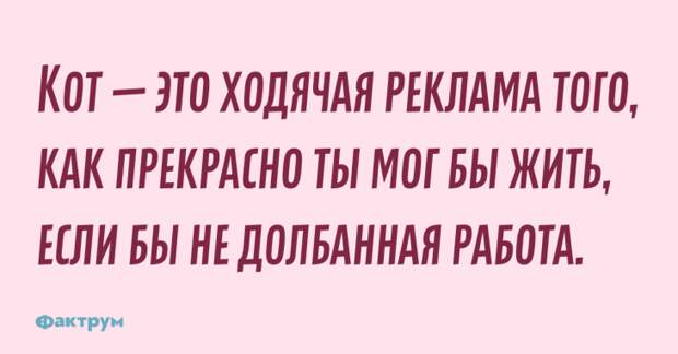 Кто — это ходячая реклама того, как прекрасно ты мог бы жить, если бы не долбанная работа. Шутка про прекрасную жизнь и работу