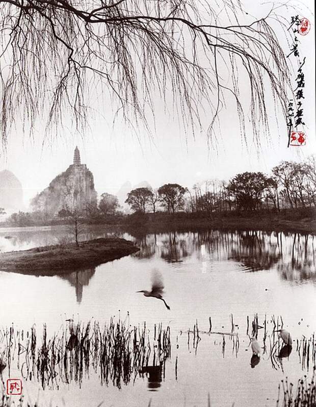 художественная фотография