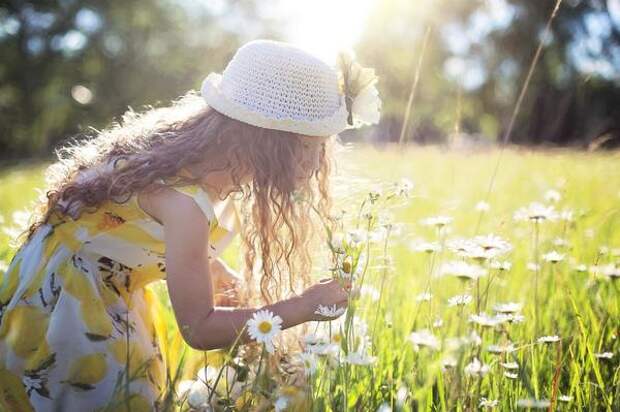 Солнечный летний луг - счастливые воспоминания детства. Изображение Jill Wellington с сайта Pixabay