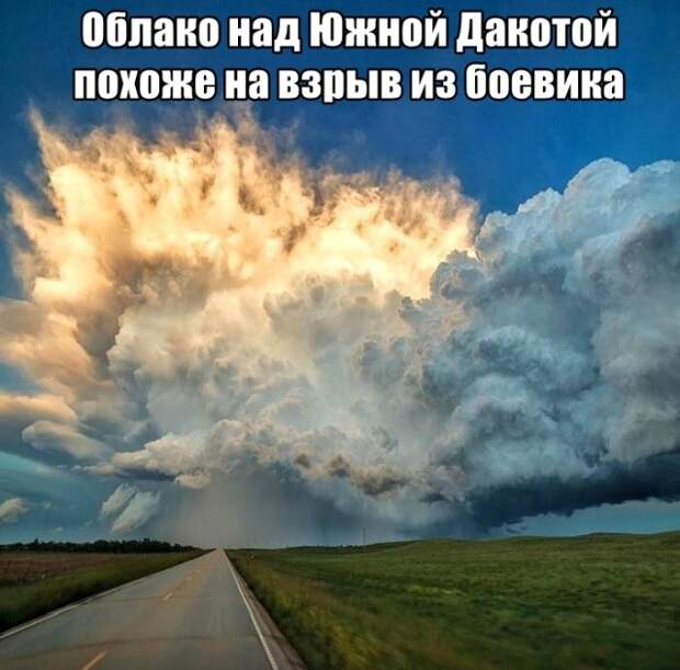 Подборка прикольных картинок