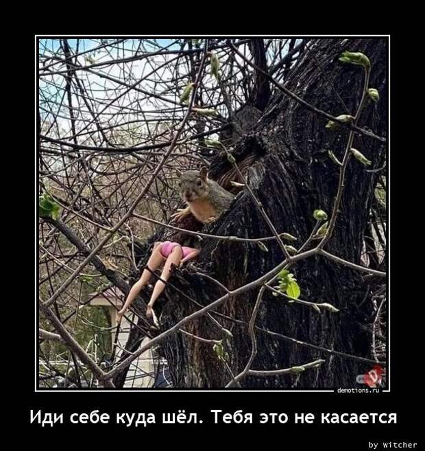 Демотиваторы-приколы (19 шт)