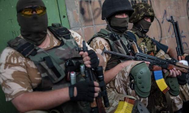 Польша опровергла информацию о своих наемниках на Украине Польша опровергла информацию о своих наемниках на Украине