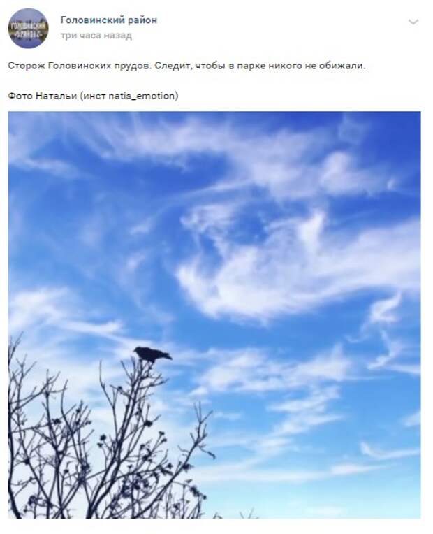 Фото дня: сторож Головинских прудов
