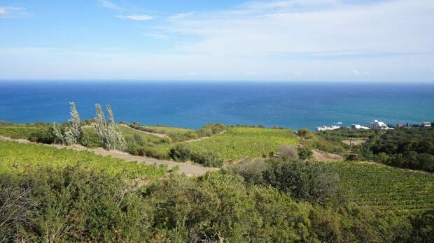 Проживающие за пределами Крыма представители депортированных народов и их потомки активно интересуются возможностью получить...