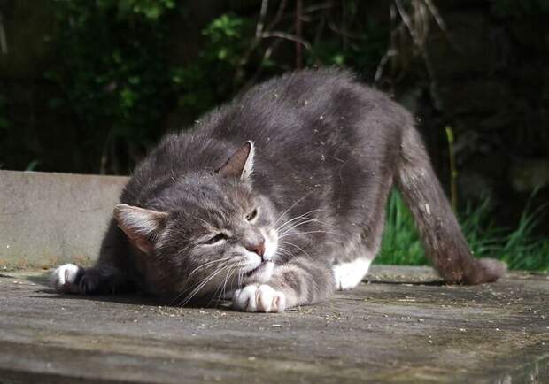 Я принцесса... нет, королевна! Я принцесса... нет, королевна!