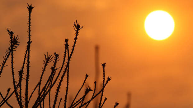 Жители Королева смогут наблюдать частичное солнечное затмение 25 октября