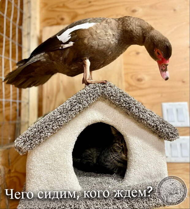 Чего сидим, кого ждем?