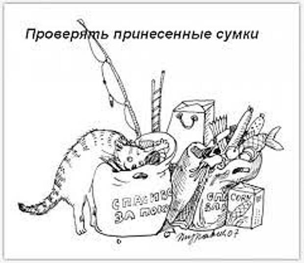 Обязанности кота по дому (9 фото) Обязанности кота по дому (9 фото)
