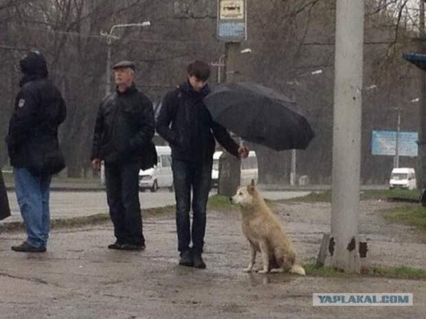 Снимки со всего мира, которые показывают, что такое Человечность