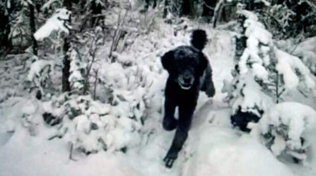 Оптическая иллюзия «бегущий человек»