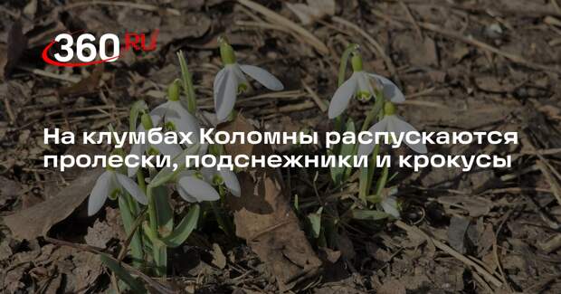 Весна в Коломне: город просыпается вместе с природой
