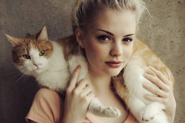 kitties11 30 способов использования котов в хозяйстве