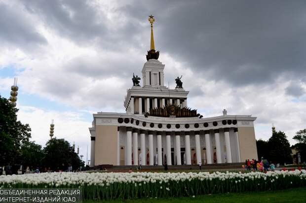 В честь 5-летия центров государственных услуг на ВДНХ в Москве проведут состязания по олимпийской системе