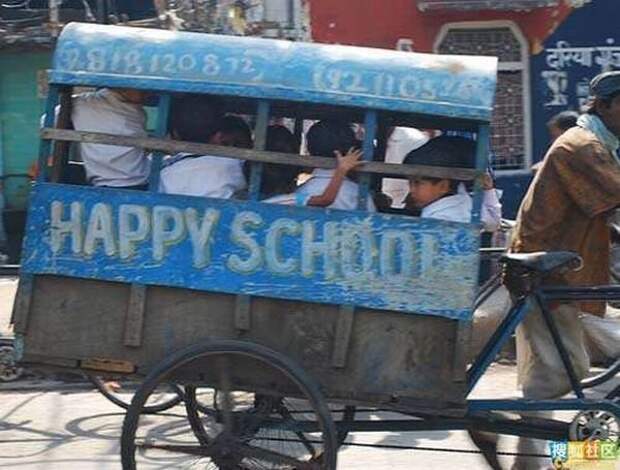 Buses_25 Buses_25