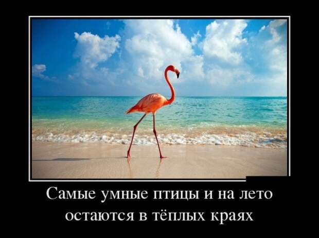 Самые новые демотиваторы  (30 фото)