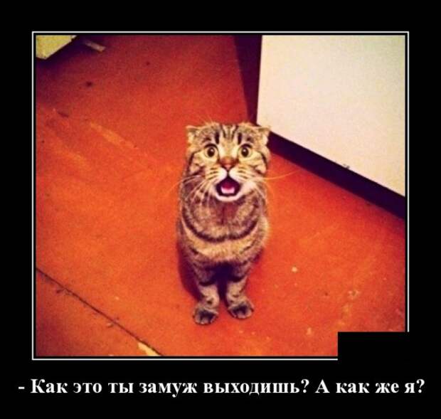 Демотиваторы (30 фото)