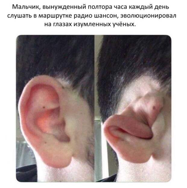 Новости науки.