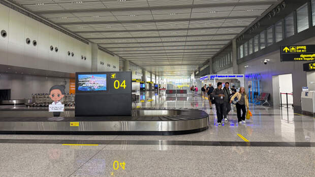 Девушку с 30 черепахами под одеждой задержали в аэропорту Таиланда