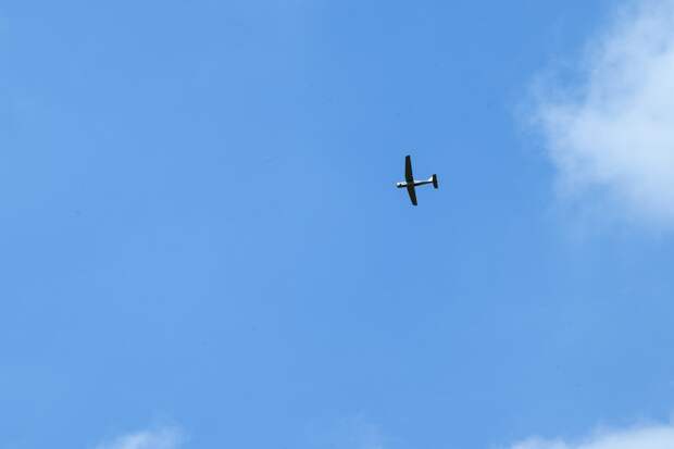 Неизвестные создали фейковое видео с губернатором Саратовской области Романом Бусаргиным