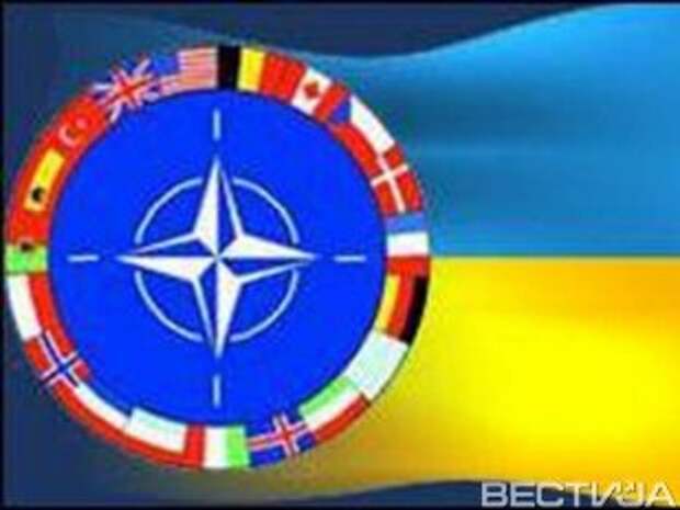 В НАТО переданы доказательства обстрела Украины с территории РФ В НАТО переданы доказательства обстрела Украины с территории РФ