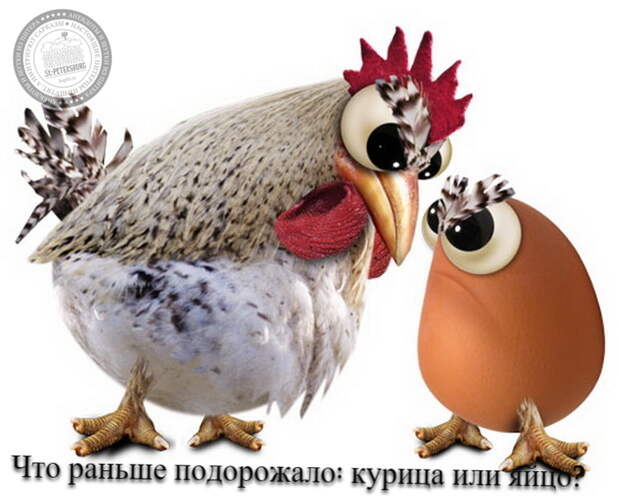 Что раньше подорожало: курица или яйцо?