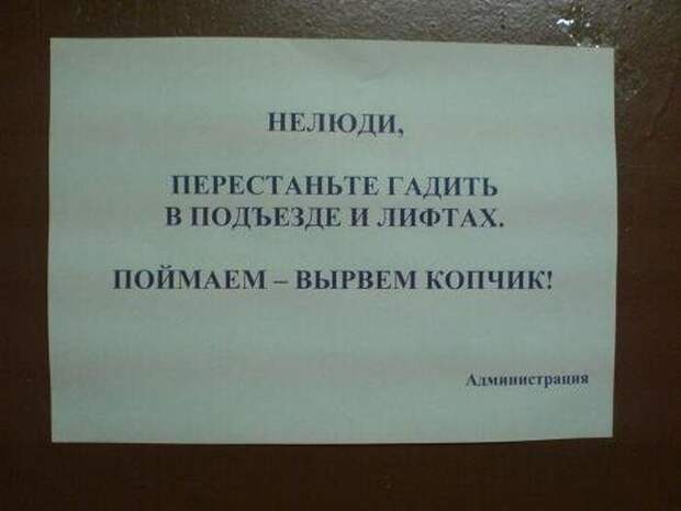 Соседи на тропе войны Соседи на тропе войны
