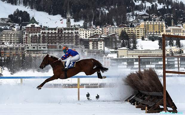 В Санкт-Морице (Швейцария) завершились конные скачки на льду «White Turf».