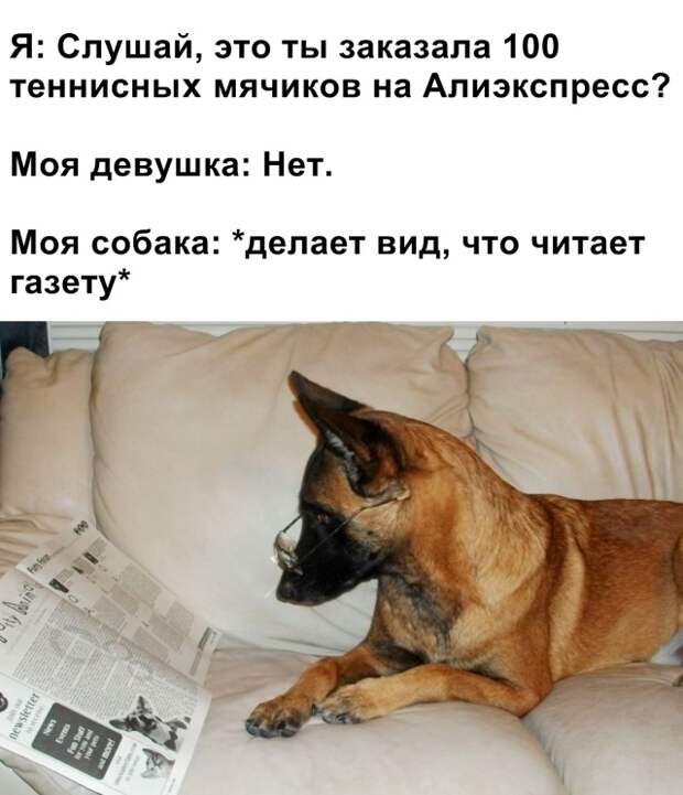 Подборка прикольных картинок