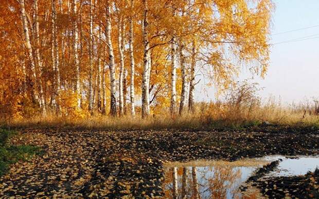 Природа. Россия. Осень. №152