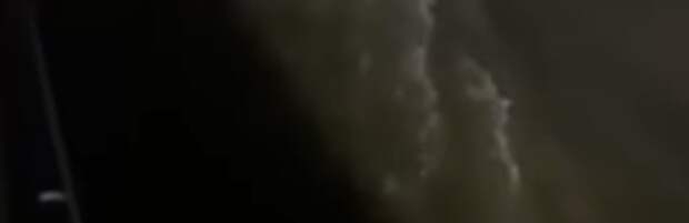 В Алматы молодые люди спасли тонущую собаку, рискуя собственной жизнью