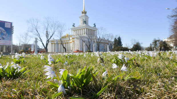 Арктические вторжения в марте, теплый апрель и +20°C в начале мая: прогноз погоды на весну в Москве