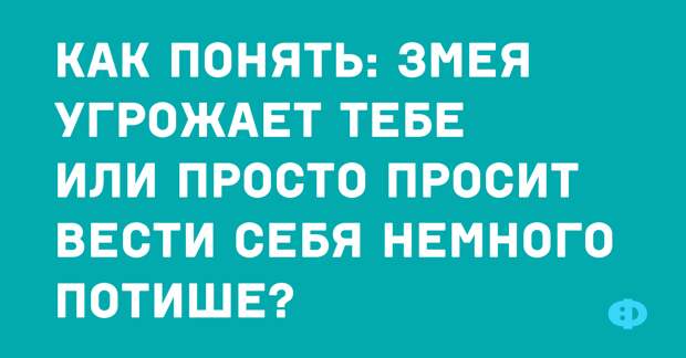 Шутки, юмор, ирония, сарказм 03/07/2019