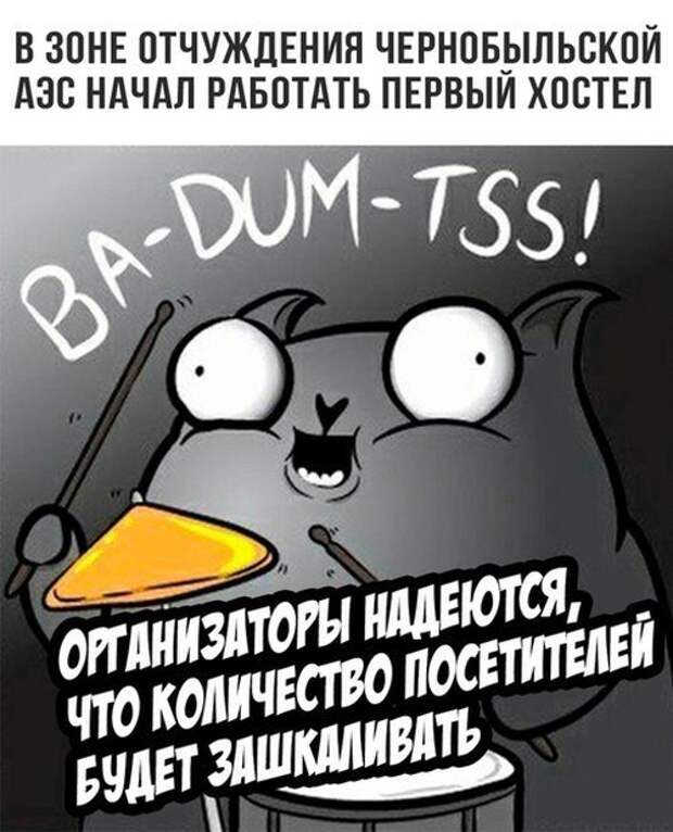 Стендап-кот и его коллекция саркастических комиксов Стендап-кот и его коллекция саркастических комиксов