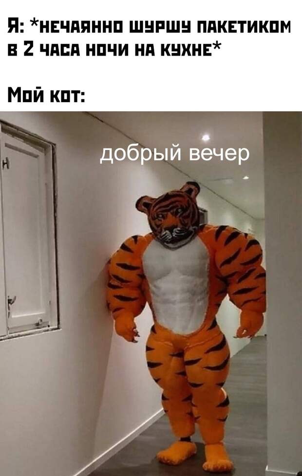www.vsyako.net