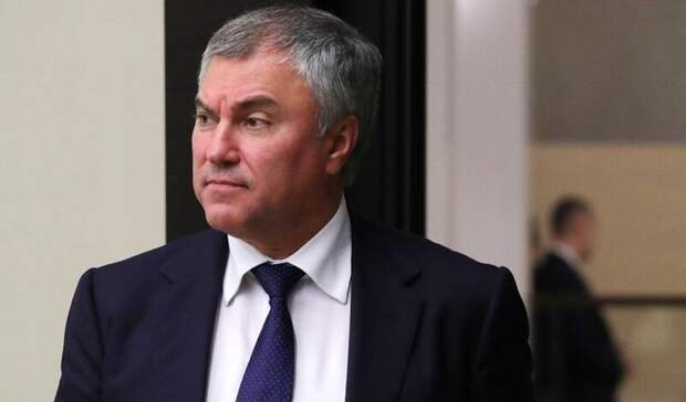 Володин заявил, что иноагентам не место среди российских журналистов