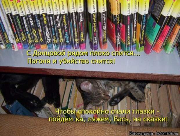 Котоматрица свежак (36 шт)