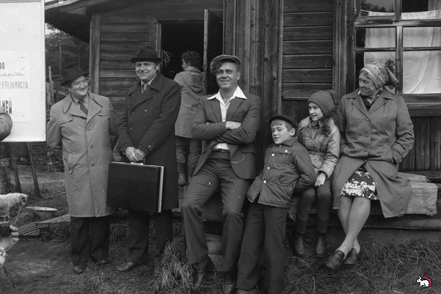 Интересное о фильме "Любовь и голуби"