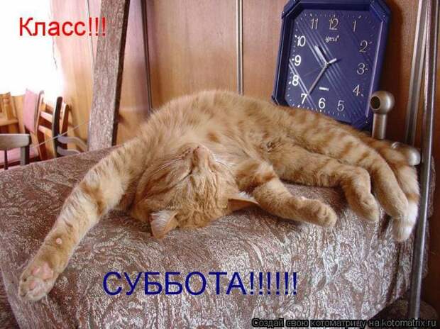 Коллекция весёлых картинок про субботу