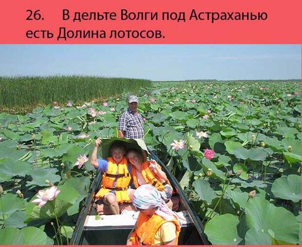 30 интересных фактов о России 30 интересных фактов о России россия, факты