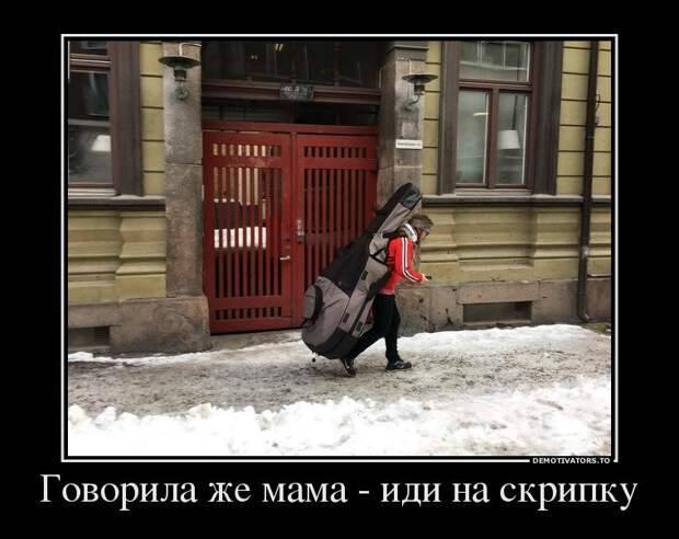 Говорила же мама- иди на скрипку демотиватор, демотиваторы, жизненно, картинки, подборка, прикол, смех, юмор