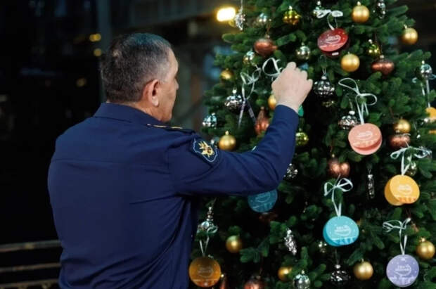 Замминистра обороны РФ принял участие в акции «Ёлка желаний»