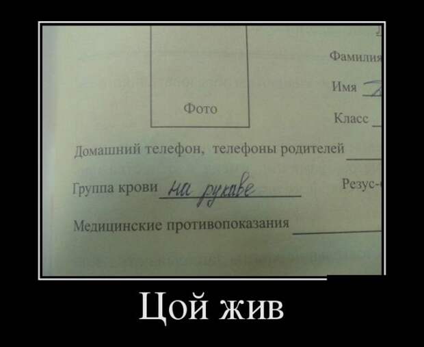 Демотиваторы №118 (30 фото)