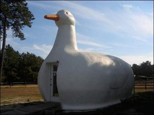 7 7