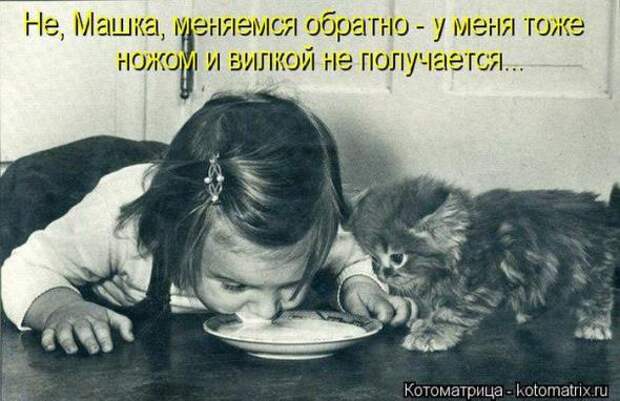 Котоматрицы(картинки с надписями)