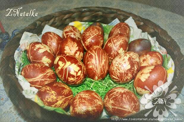 Крашенные яйца петрушкой и укропом/5552559_Floral_rain_1 (700x467, 301Kb)