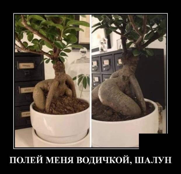 Демотиватор про воображение