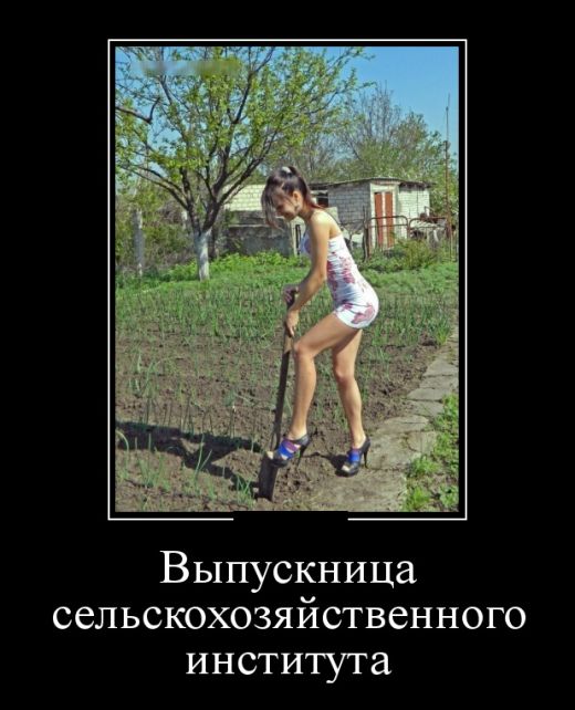 Демотиваторы - 999 Демотиваторы - 999