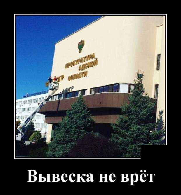 Демотиваторы