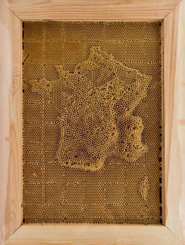 Франция воск, карта, пчела, скульптура